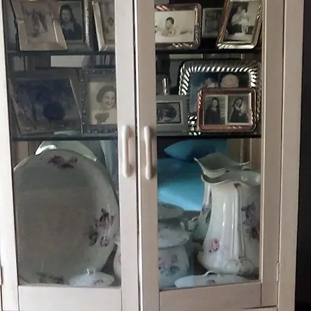 别墅 κατοικία με θέα στο δάσος