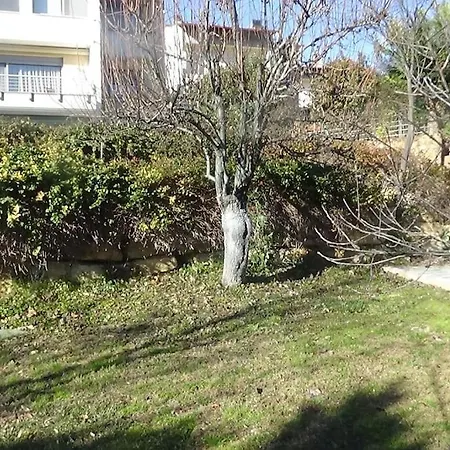 别墅 κατοικία με θέα στο δάσος