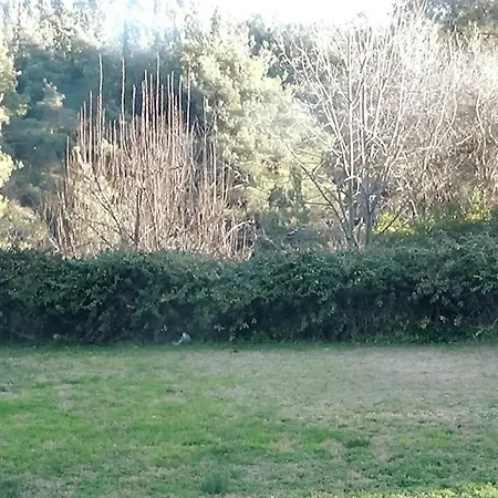 κατοικία με θέα στο δάσος 塞萨洛尼基